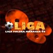 game Liga Polska Manager '98