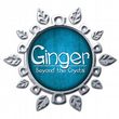 game Ginger: Beyond The Crystal