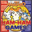 game Hamtaro: Ham-Ham Games