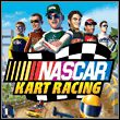 game NASCAR Kart Racing
