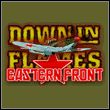 game Down in Flames: Eastern Front