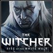 game The Witcher: Rise of the White Wolf