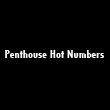 game Penthouse Hot Numbers