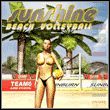 game Sunshine Beach Volleyball