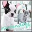 game Nintendogs + Cats: French Bulldog & New Friends