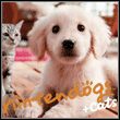 game Nintendogs + Cats: Golden Retriever & New Friends