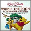 game Winnie the Pooh in the Hundred Acre Wood