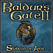 game Baldur's Gate II: Shadows of Amn