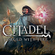 game Citadel: Forged with Fire