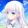 game Summer Pockets