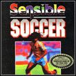 game Sensible Soccer: European Champions - 92/93 Edition