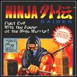 game Ninja Gaiden (1991)