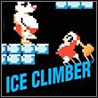 game Ice Climber: NES Classics