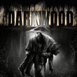 game Darkwood