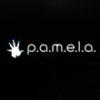 game P.A.M.E.L.A.