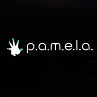 P.A.M.E.L.A. Game Box