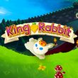game King Rabbit