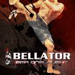 game Bellator: MMA Onslaught