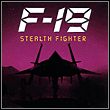 game F-19 Stealth Fighter