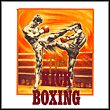 game Panza Kick Boxing