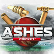 game Ashes Cricket