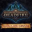 game Pillars of Eternity II: Deadfire - Seeker, Slayer, Survivor