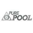 game Pure Pool