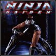 game Ninja Gaiden