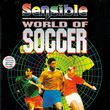 game Sensible World of Soccer
