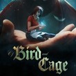 game Of Bird and Cage