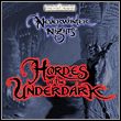 game Neverwinter Nights: Hordes of the Underdark