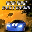 game Rush Rush Rally Racing