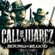 game Call of Juarez: Więzy Krwi