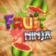 game Fruit Ninja