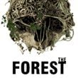 Game The Forest (PC) Cover 