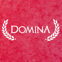 Domina Game Box