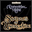 game Neverwinter Nights: Shadows of Undrentide