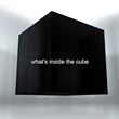 game Curiosity: What's Inside the Cube?