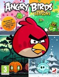 Angry Birds Seasons Game Box