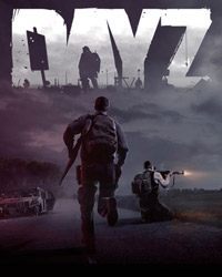 DayZ Game Box