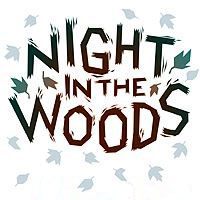 Night in the Woods Game Box