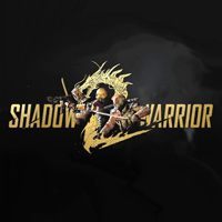 Shadow Warrior 2 Game Box