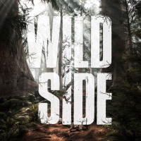 Wild Side Game Box