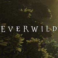 Everwild Game Box