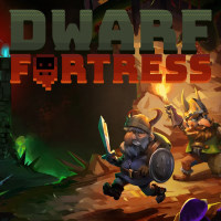 Dwarf Fortress Game Box