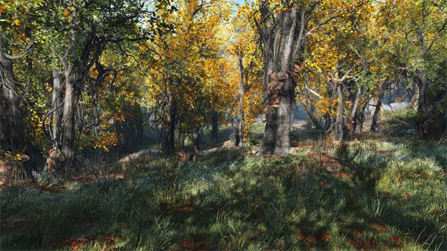 fallout 4 tree mods fallout 4 tree mods