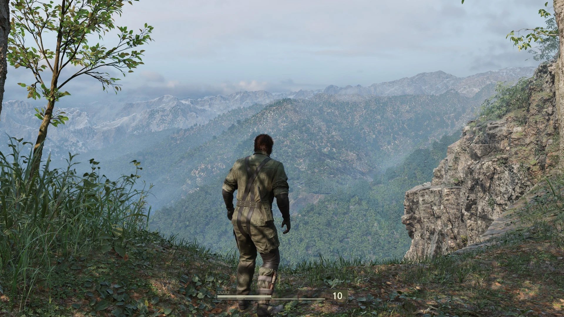 Metal Gear Solid Delta: Snake Eater mod Disable vignette  v.1.0.0.0