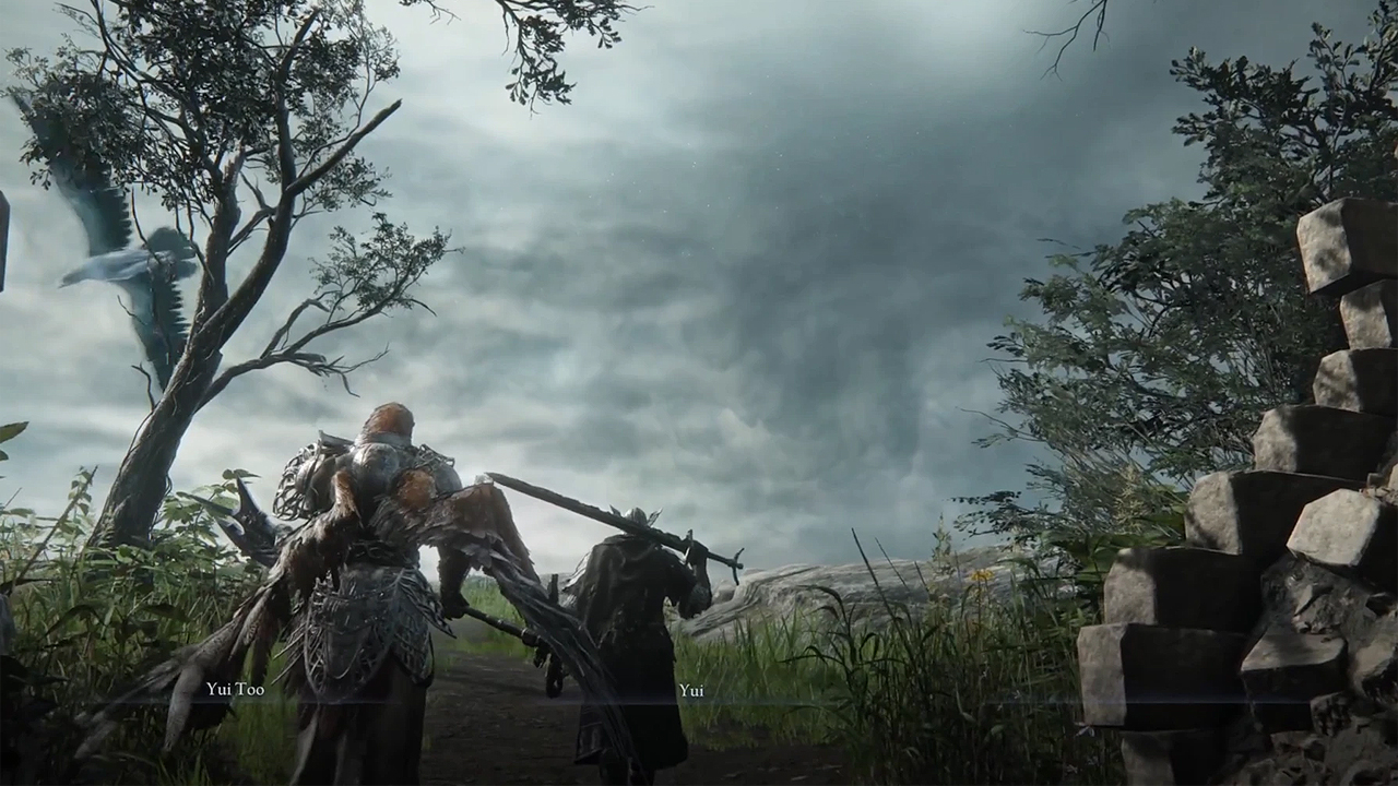 Elden Ring: Nightreign mod Seamless Co-op v.0.0.1