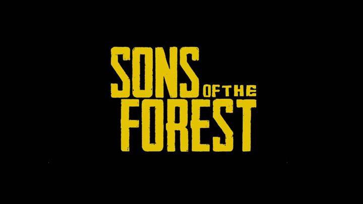 Sons of the Forest mod OPTIMIZED SETTINGS for low end pc v.1