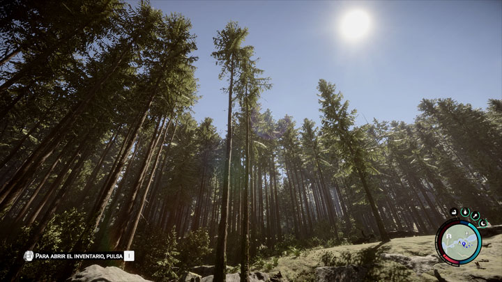Sons of the Forest mod Natural Detailed Reshade v.1.0